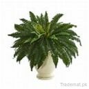 , Artificial Plants - Trademart.pk