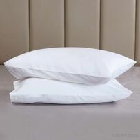 Pair Of Super Soft & Plush Sleeping Memory Pillows Imported, Cushion Covers - Trademart.pk