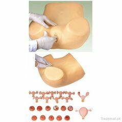 Gynecological Training Simulator (soft), Gynaecology - Trademart.pk