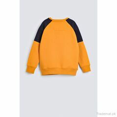 Boys Minion Print Sweatshirt, Boys Sweatshirt - Trademart.pk