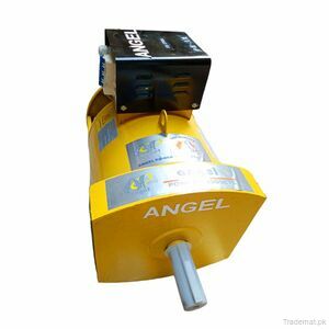 ANGEL Alternator 8.8 Kw / 11 Kva (Carbon Type), Alternator - Trademart.pk