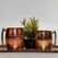Moscow Mule Style Mug - Pure Copper Hand Crafted, Mugs - Trademart.pk