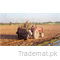 Sugarcane Planter, Tractors & Parts - Trademart.pk